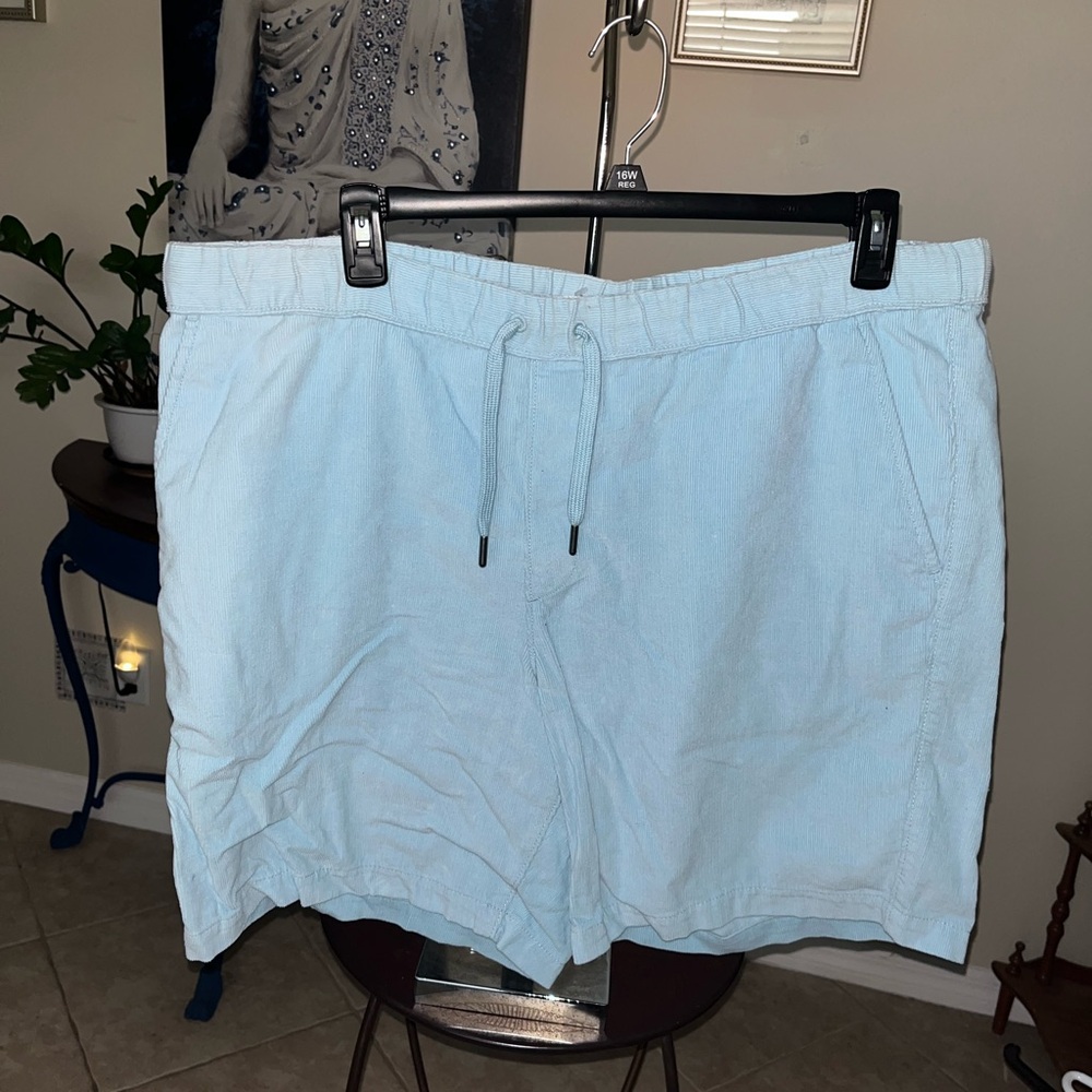NWT Sonoma Men’s Light Blue Drawstring Shorts - 44